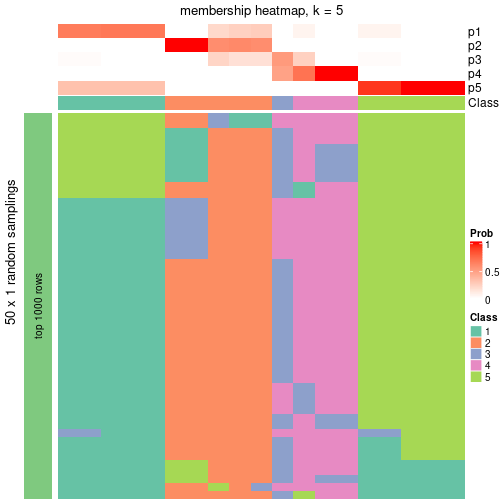 plot of chunk tab-node-013-membership-heatmap-4