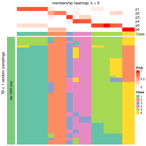 plot of chunk tab-node-013-membership-heatmap-5