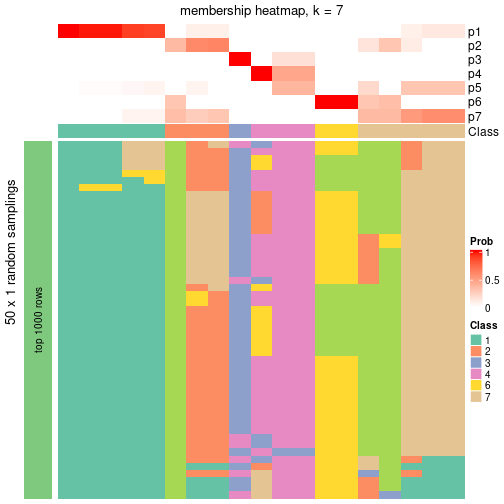 plot of chunk tab-node-013-membership-heatmap-6