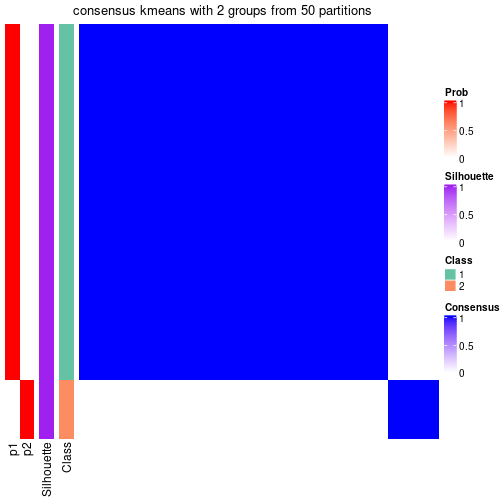 plot of chunk tab-node-0131-consensus-heatmap-1