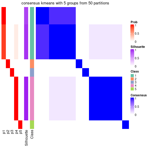 plot of chunk tab-node-0131-consensus-heatmap-4