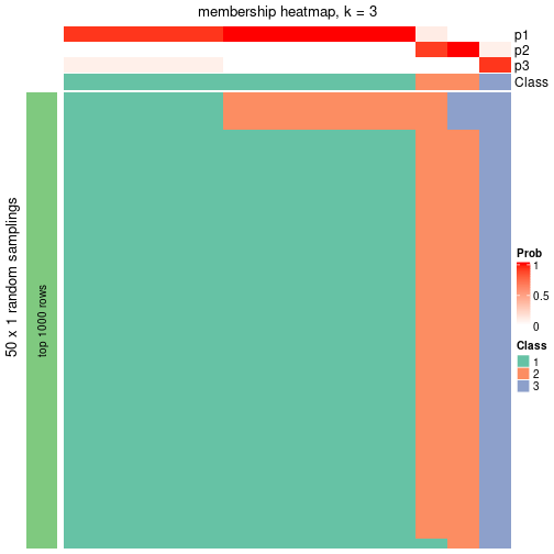 plot of chunk tab-node-0131-membership-heatmap-2