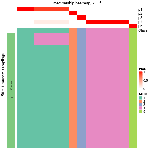 plot of chunk tab-node-0131-membership-heatmap-4