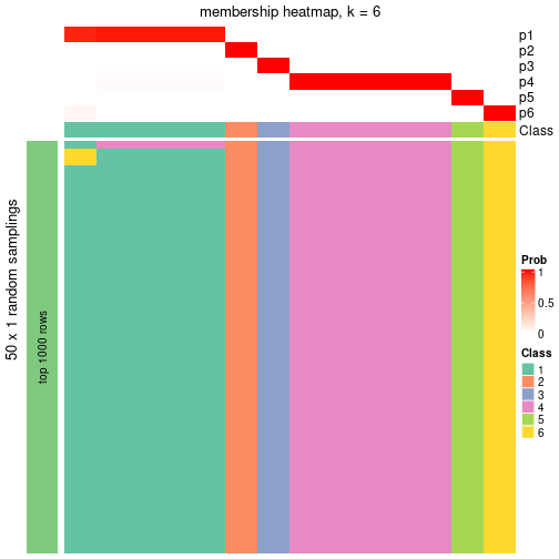 plot of chunk tab-node-0131-membership-heatmap-5