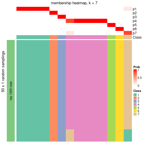 plot of chunk tab-node-0131-membership-heatmap-6