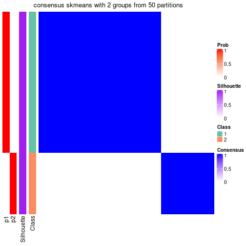 plot of chunk tab-node-02-consensus-heatmap-1