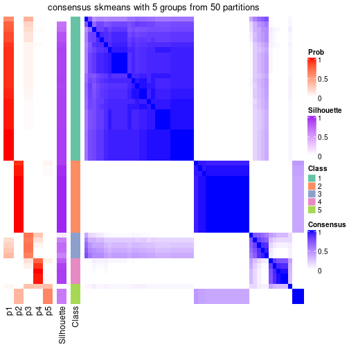 plot of chunk tab-node-02-consensus-heatmap-4