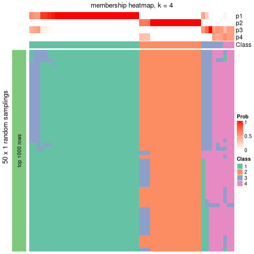 plot of chunk tab-node-02-membership-heatmap-3