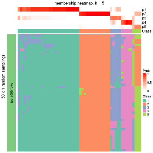 plot of chunk tab-node-02-membership-heatmap-4