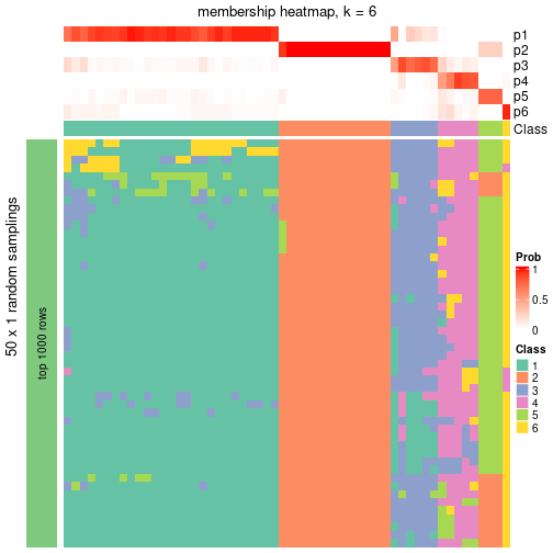 plot of chunk tab-node-02-membership-heatmap-5