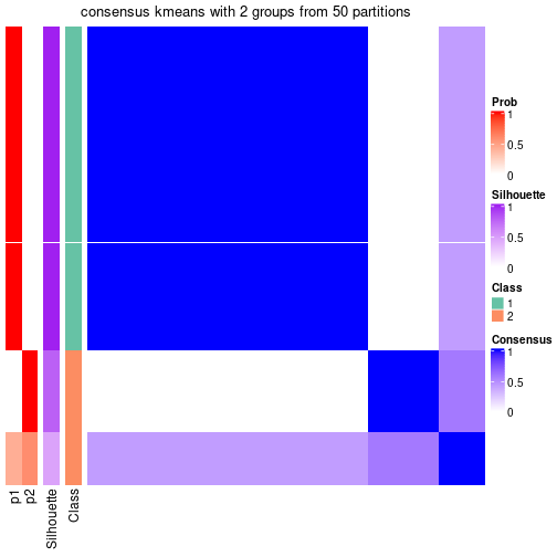 plot of chunk tab-node-022-consensus-heatmap-1