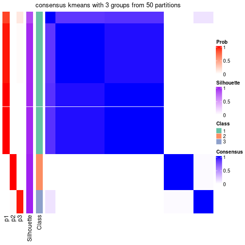 plot of chunk tab-node-022-consensus-heatmap-2