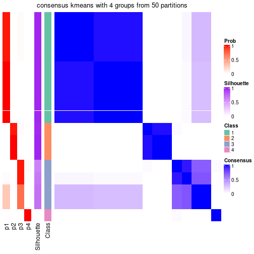 plot of chunk tab-node-022-consensus-heatmap-3