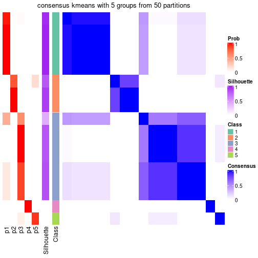 plot of chunk tab-node-022-consensus-heatmap-4