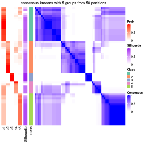 plot of chunk tab-node-03-consensus-heatmap-4