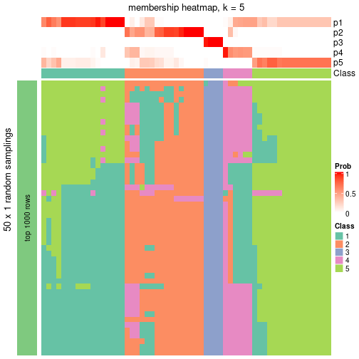 plot of chunk tab-node-03-membership-heatmap-4