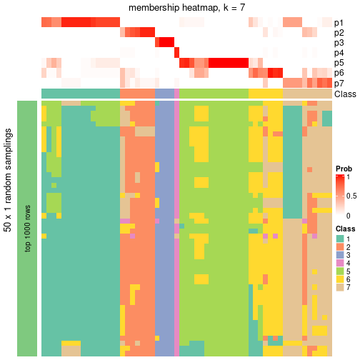 plot of chunk tab-node-03-membership-heatmap-6