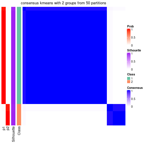 plot of chunk tab-node-031-consensus-heatmap-1