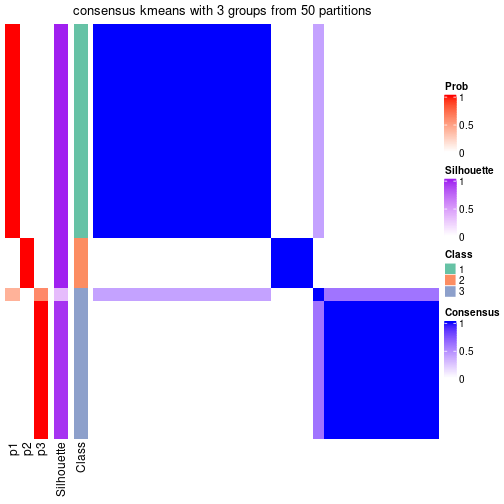 plot of chunk tab-node-031-consensus-heatmap-2