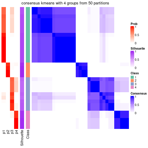 plot of chunk tab-node-031-consensus-heatmap-3