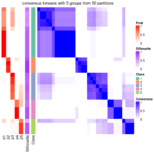 plot of chunk tab-node-031-consensus-heatmap-4