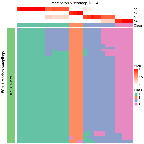 plot of chunk tab-node-031-membership-heatmap-3