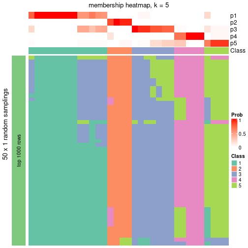 plot of chunk tab-node-031-membership-heatmap-4