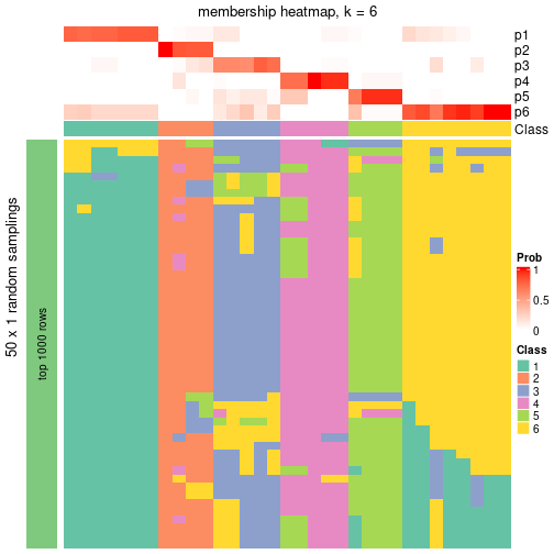 plot of chunk tab-node-031-membership-heatmap-5