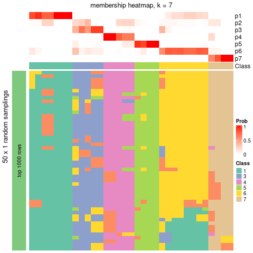 plot of chunk tab-node-031-membership-heatmap-6