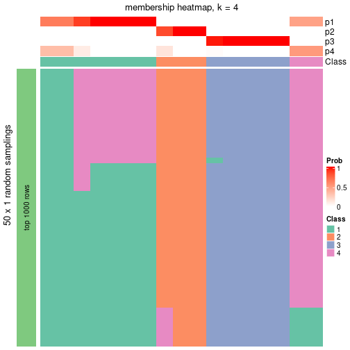 plot of chunk tab-node-0311-membership-heatmap-3