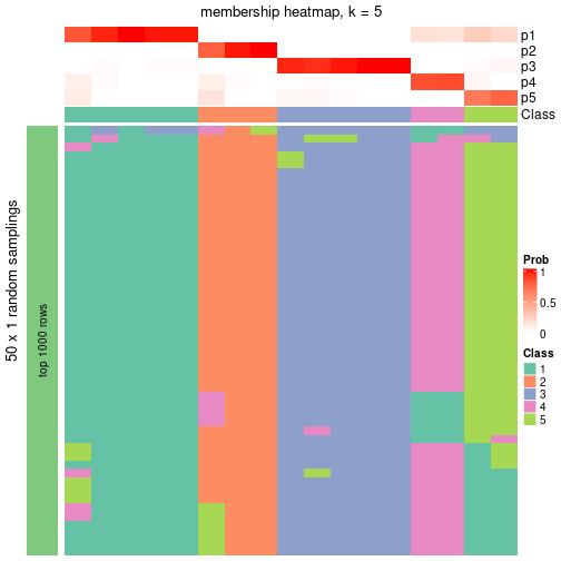 plot of chunk tab-node-0311-membership-heatmap-4