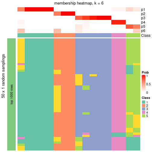 plot of chunk tab-node-0311-membership-heatmap-5