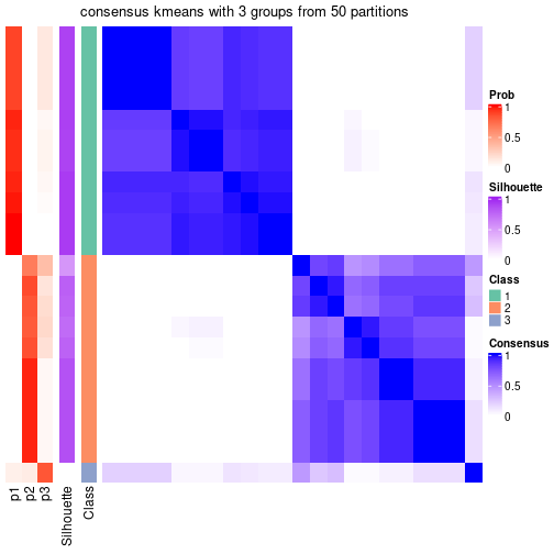 plot of chunk tab-node-032-consensus-heatmap-2