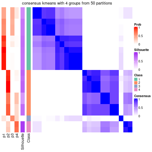 plot of chunk tab-node-032-consensus-heatmap-3