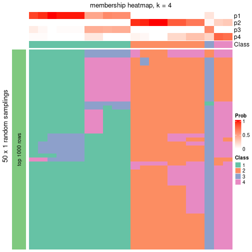 plot of chunk tab-node-032-membership-heatmap-3