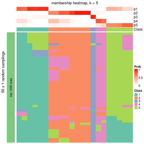 plot of chunk tab-node-032-membership-heatmap-4