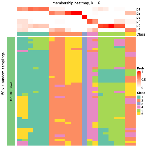 plot of chunk tab-node-032-membership-heatmap-5