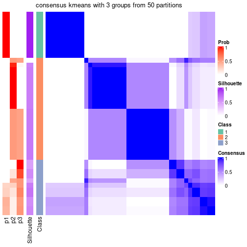 plot of chunk tab-node-04-consensus-heatmap-2