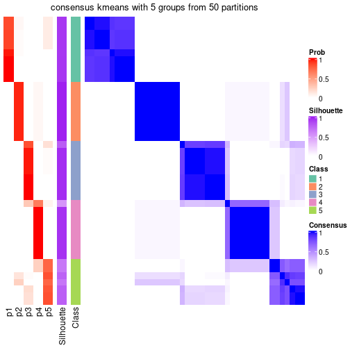 plot of chunk tab-node-04-consensus-heatmap-4