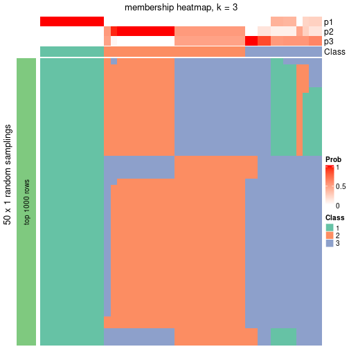 plot of chunk tab-node-04-membership-heatmap-2