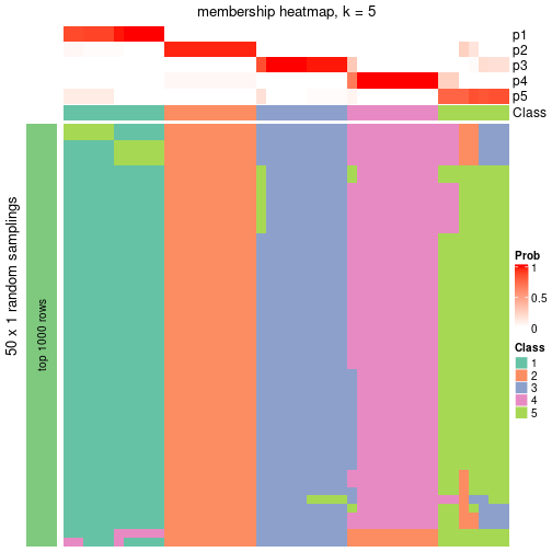 plot of chunk tab-node-04-membership-heatmap-4