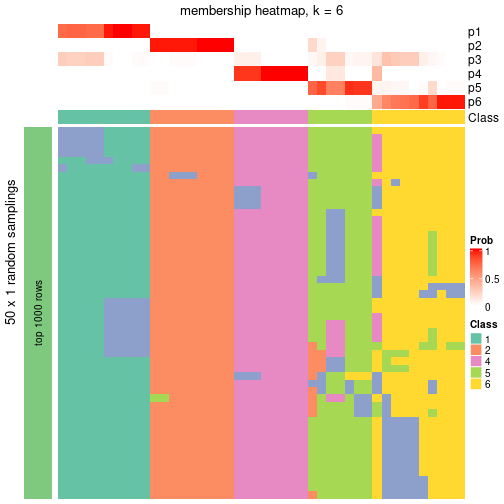 plot of chunk tab-node-04-membership-heatmap-5