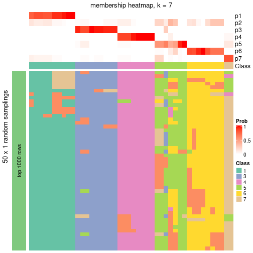 plot of chunk tab-node-04-membership-heatmap-6