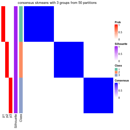 plot of chunk tab-node-043-consensus-heatmap-2