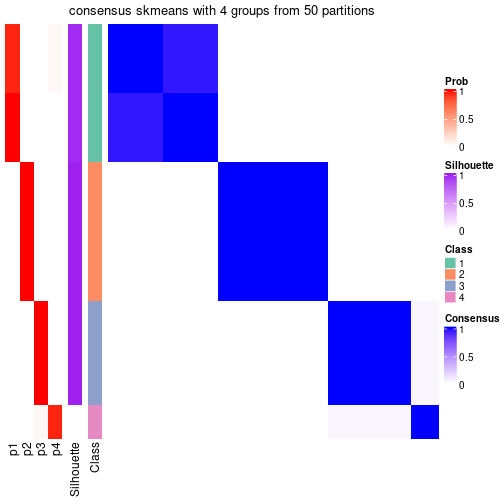 plot of chunk tab-node-043-consensus-heatmap-3