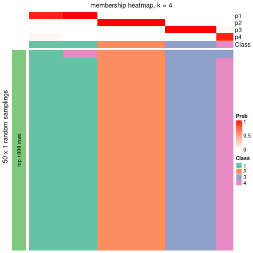 plot of chunk tab-node-043-membership-heatmap-3