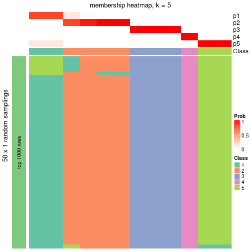 plot of chunk tab-node-043-membership-heatmap-4