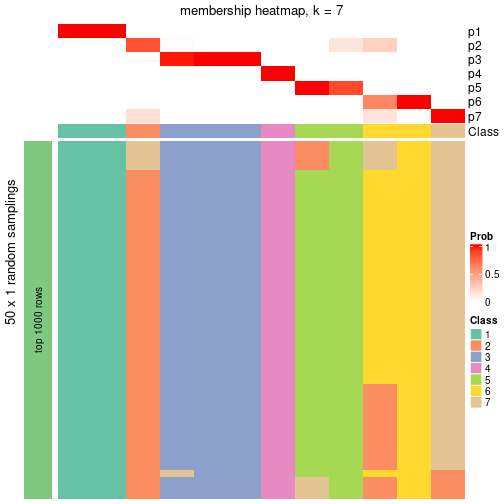 plot of chunk tab-node-043-membership-heatmap-6