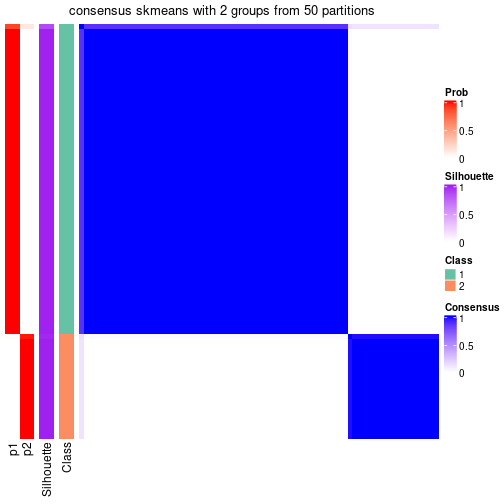 plot of chunk tab-node-05-consensus-heatmap-1