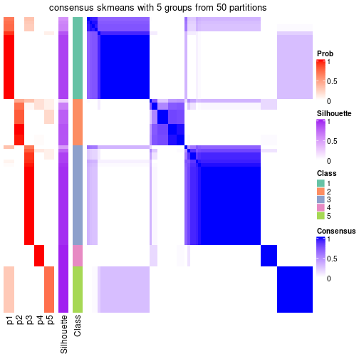 plot of chunk tab-node-05-consensus-heatmap-4